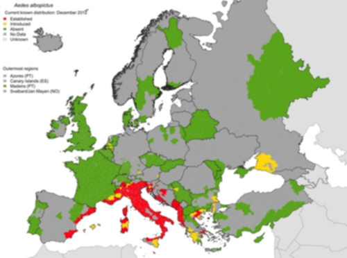 Les pays de l'Europe où l'on retrouve le moustique tigre
