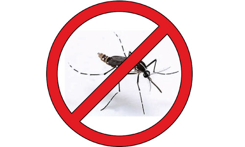 Piqûre moustique tigre : comment l'éviter ?