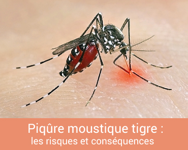 De fil en image  Piqure-moustique-tigre-risques